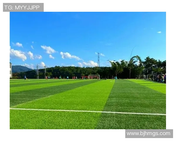 赵军独家解析足球技巧与战术心得分享助你提升球技与观赛体验