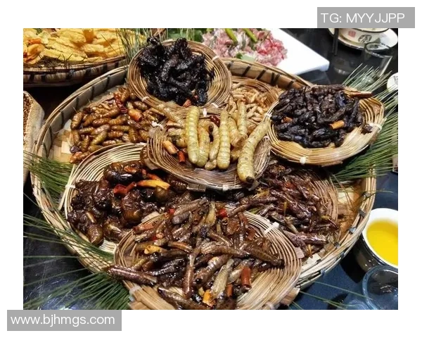 足球明星夜市探秘与美食之旅揭秘谁是这位球场巨星