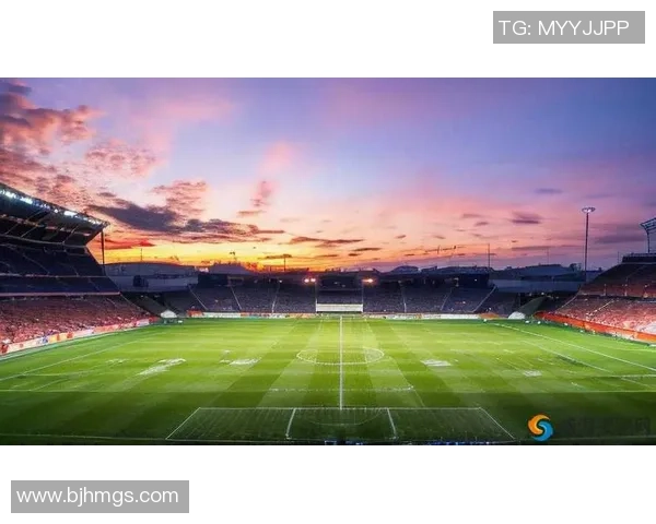 足球明星笔记本：记录绿茵场上的荣耀与梦想的心路历程